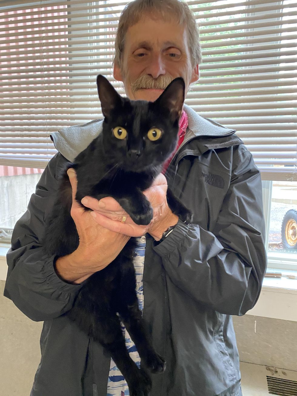 Cat found trapped in bag in Mudge Pond