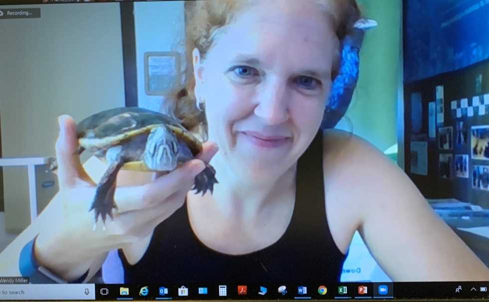 Honoring Sharon Audubon’s Wendy Miller