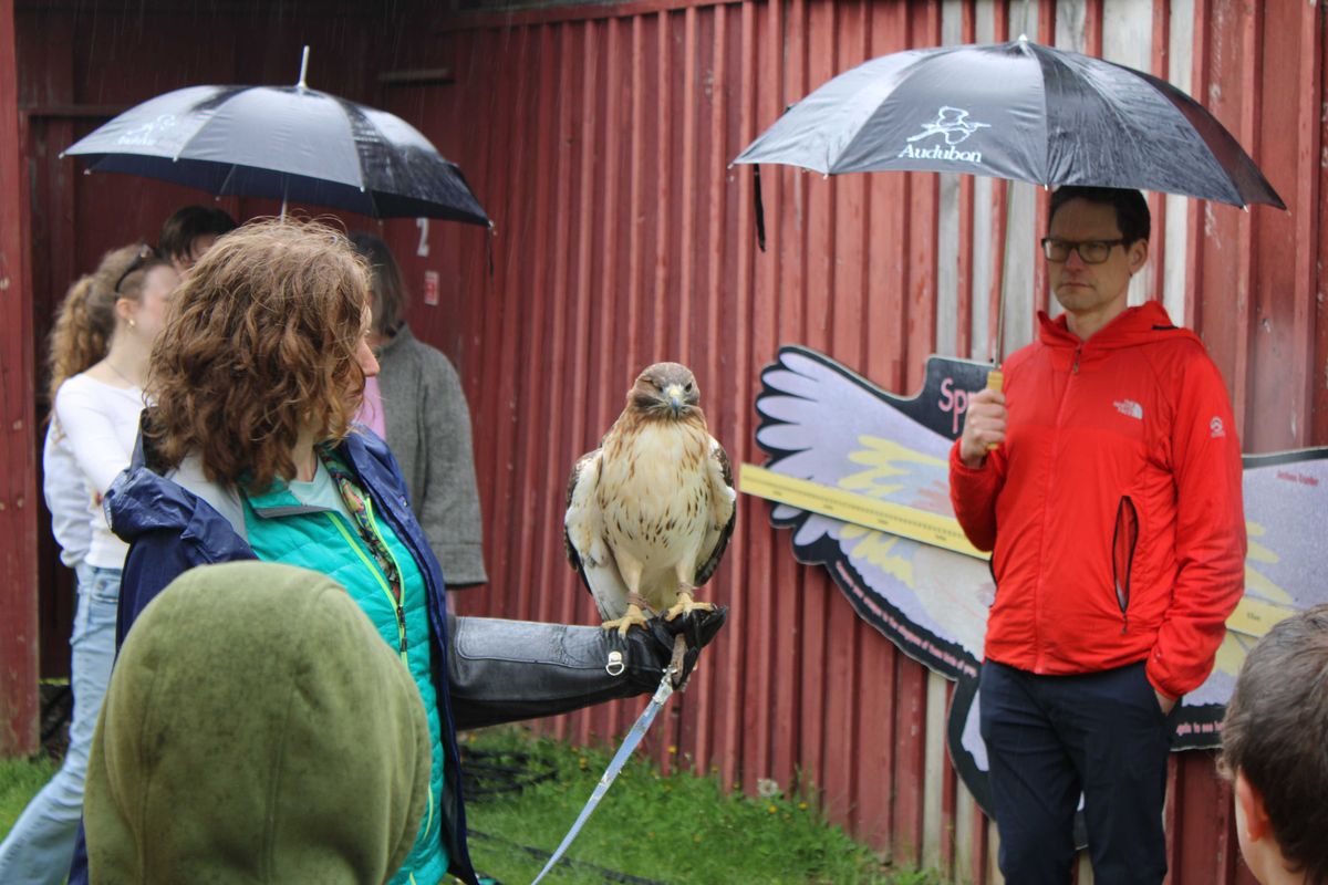 Sharon Audubon Birdfest