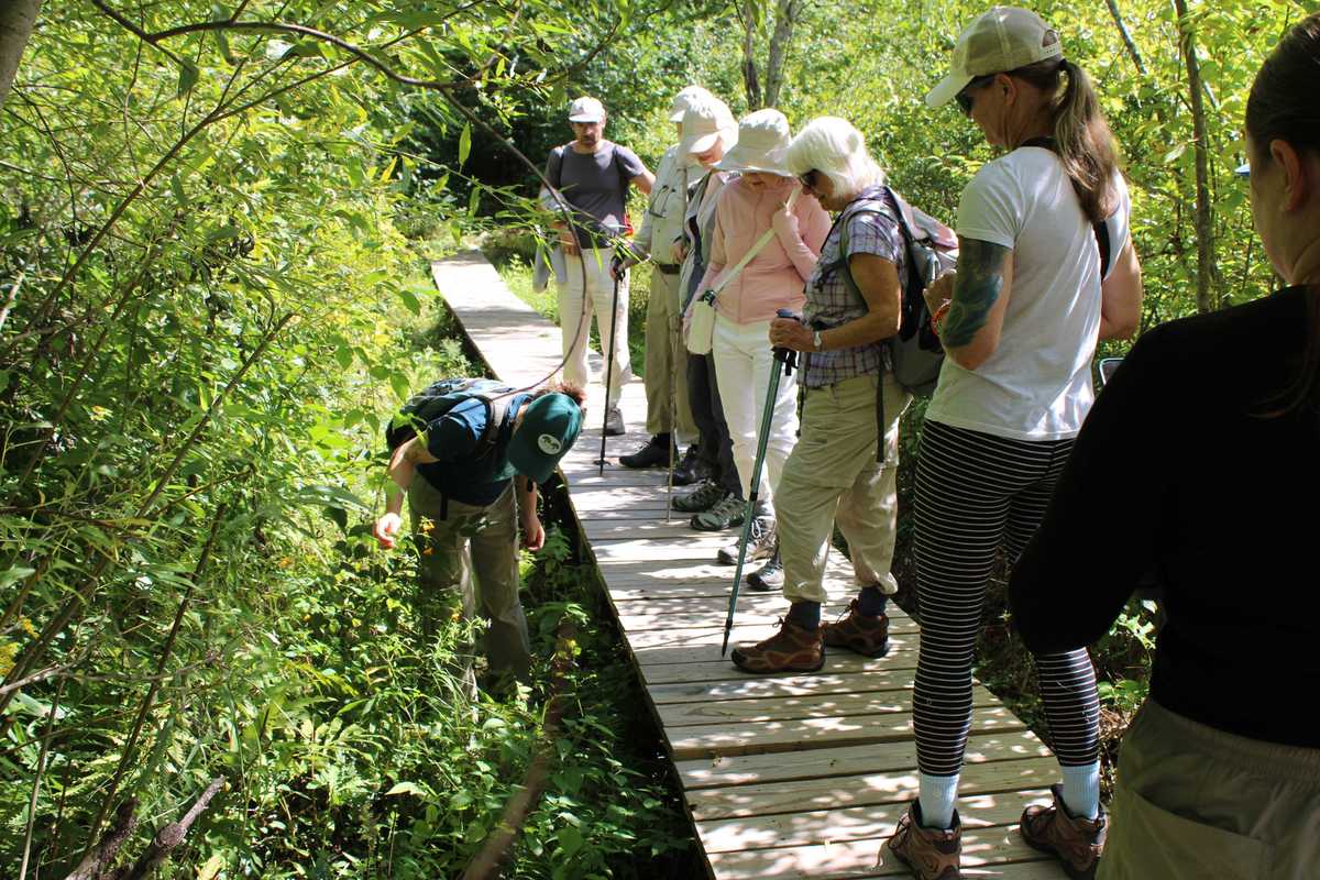 Heritage walk uncovers natural and industrial past