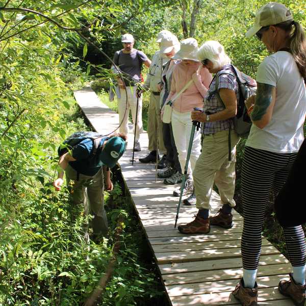 Heritage walk uncovers natural and industrial past