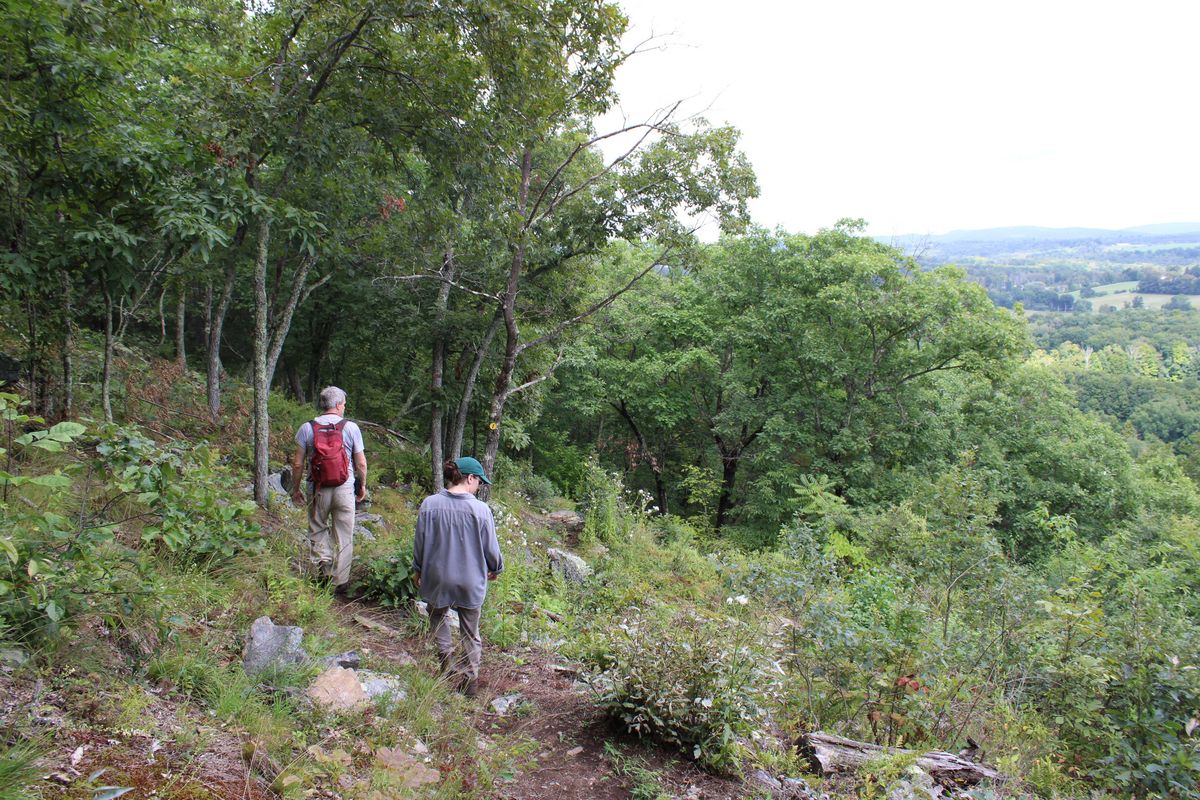 Sharon Land Trust opens challenging new trail on Indian Mountain