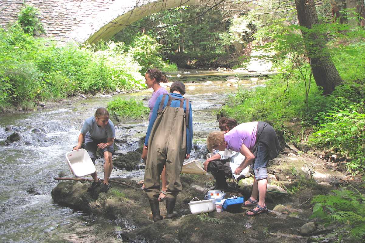 Expanding the field: Cary invites teachers to study ecology at the Institute