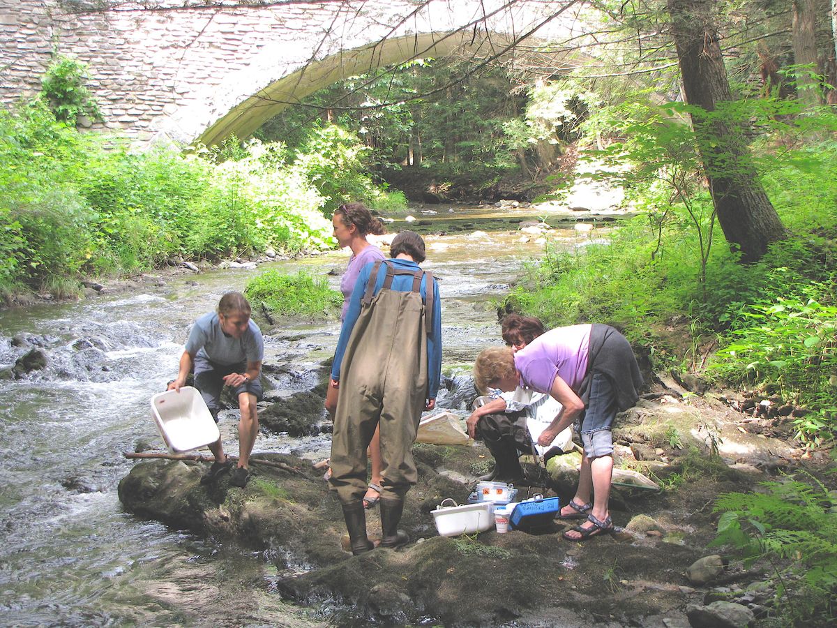 Expanding the field: Cary invites teachers to study ecology at the Institute