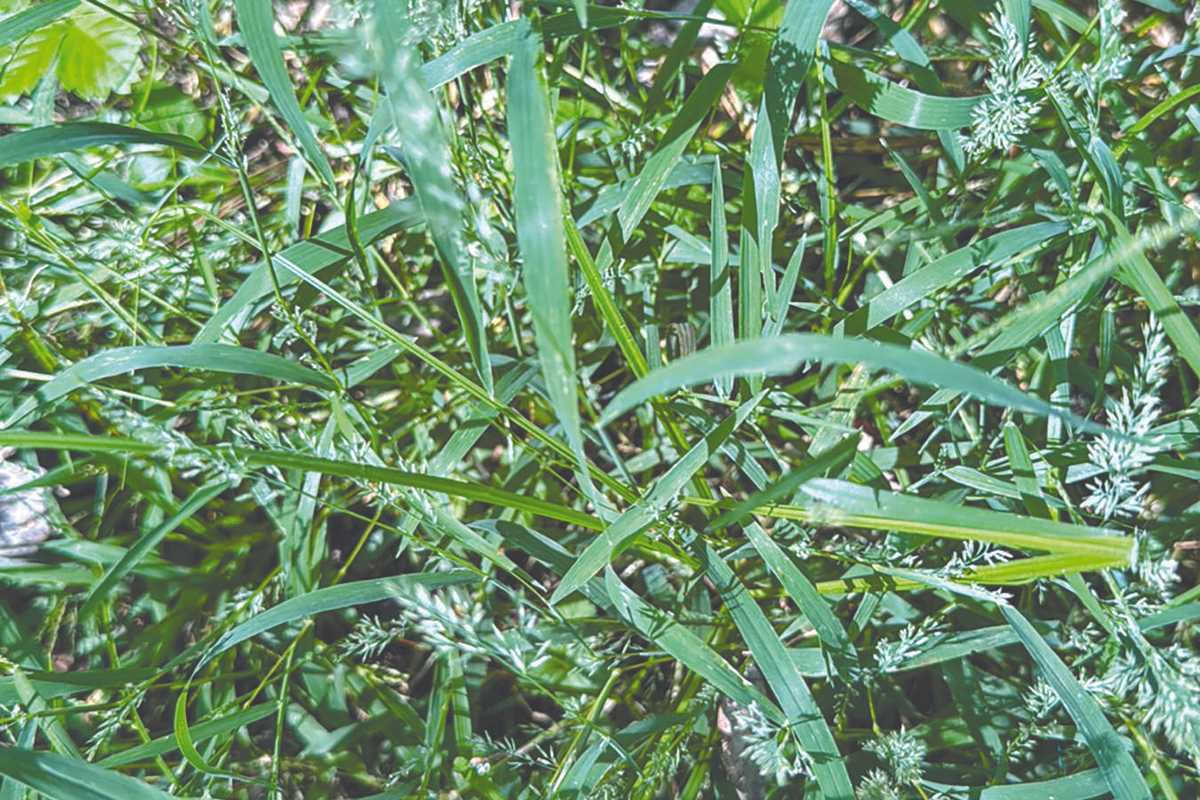 Is restoration possible?
