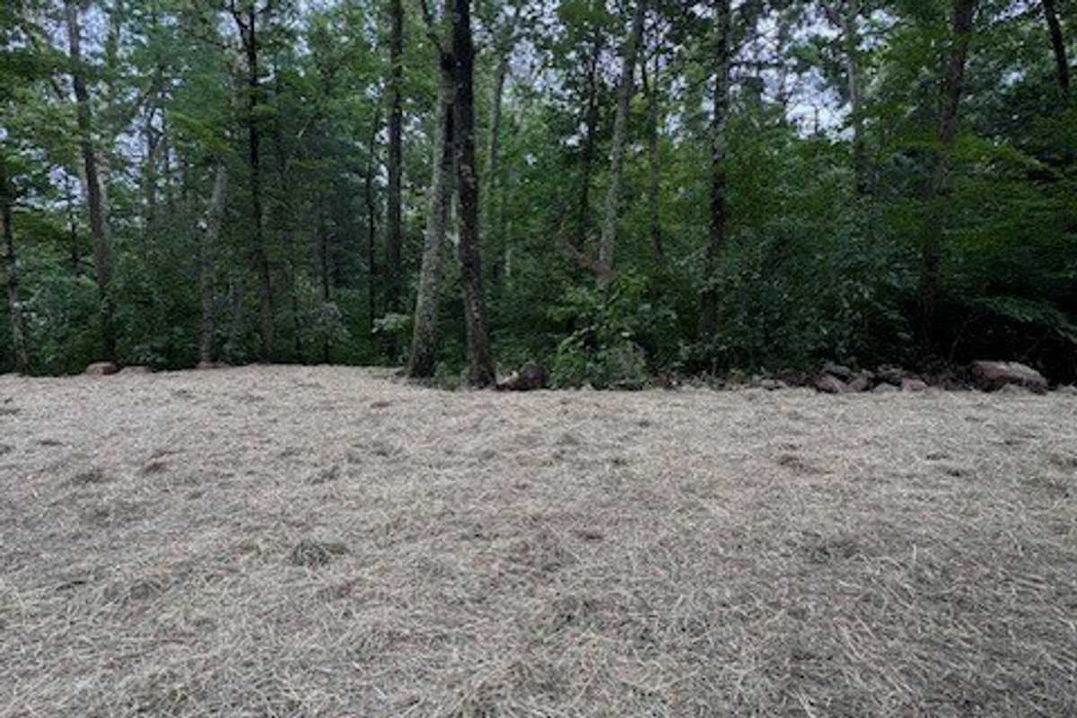 Ungardening in January: Seeds