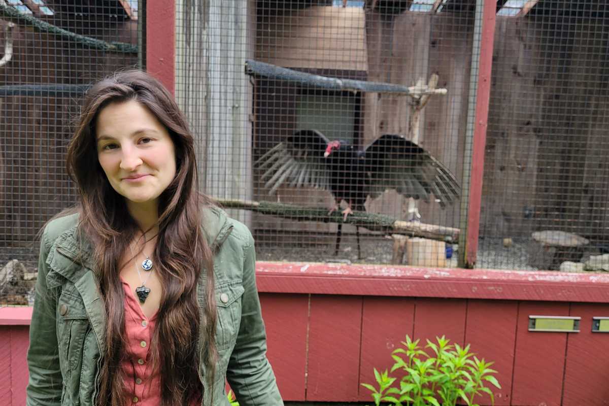 Advocates take action to protect birds from avian flu