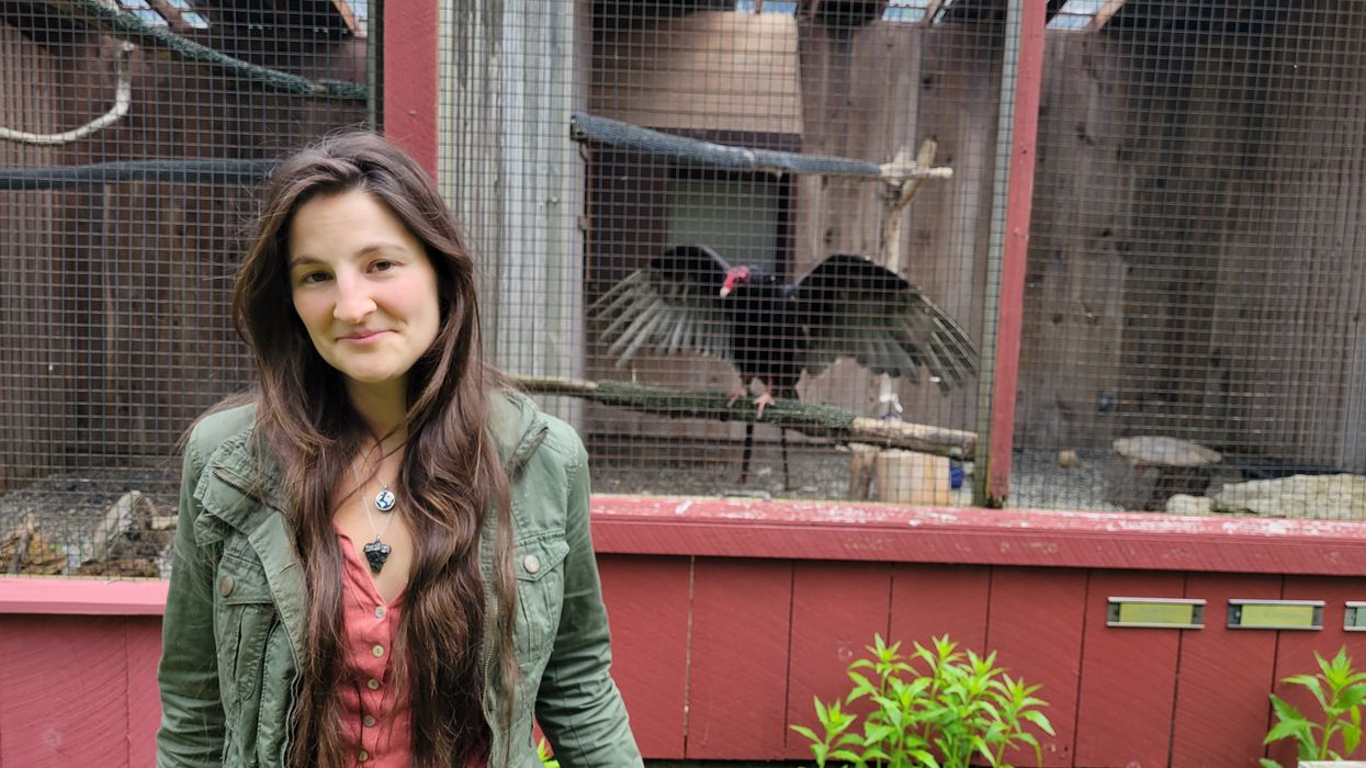 Advocates take action to protect birds from avian flu