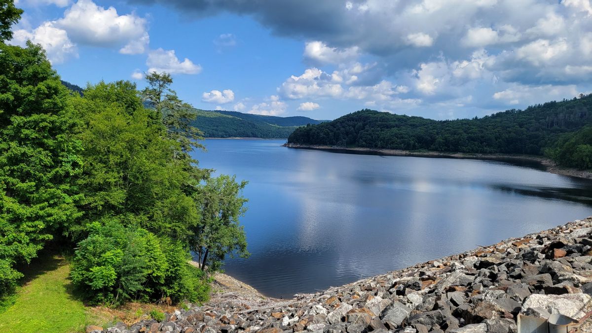 Millions in funding awarded to help conservation groups preserve open space