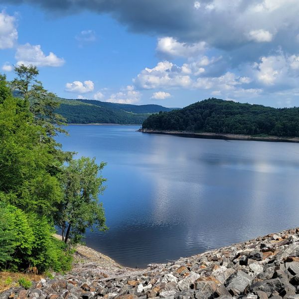 Millions in funding awarded to help conservation groups preserve open space