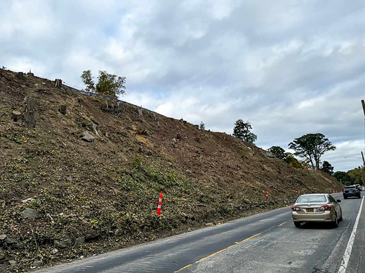 Tree clearing turns heads on Route 44 as construction continues