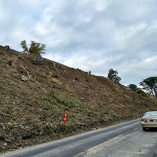 Tree clearing turns heads on Route 44 as construction continues