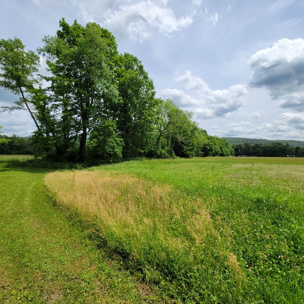 Northwest Corner Land trusts bear the weight of region’s conservation future