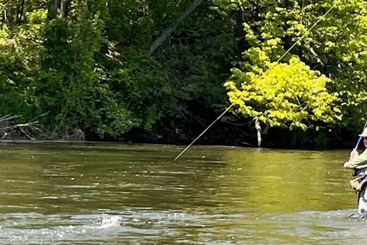 The case for tenkara