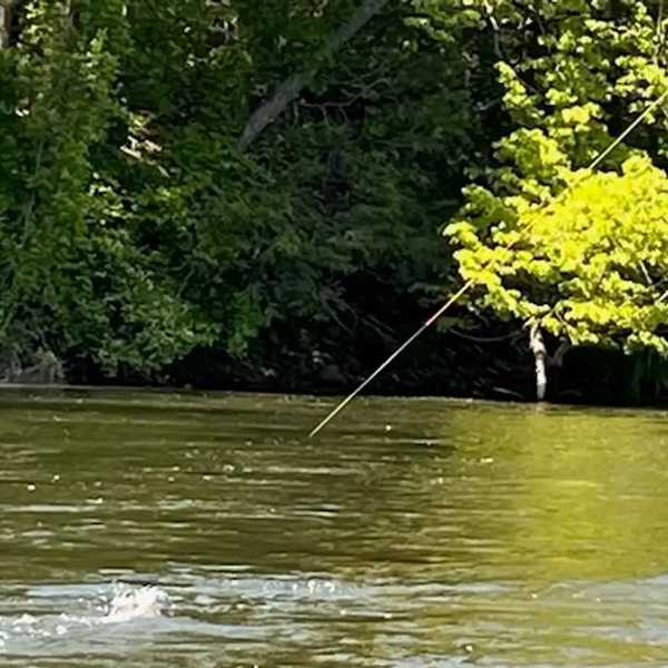 The case for tenkara