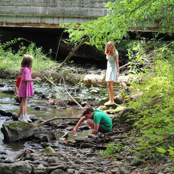 Young naturalists capture and catalogue critters