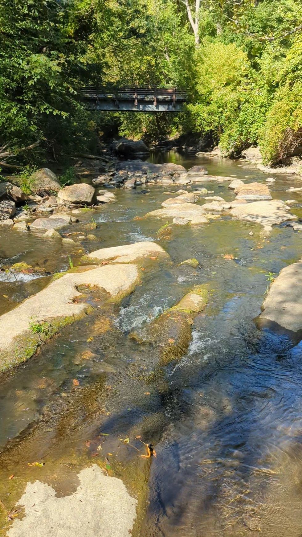 Severe drought gripped region in late summer