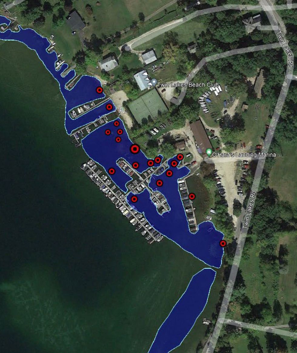 Aggressive strain of hydrilla at East Twin Lake a growing concern | The ...