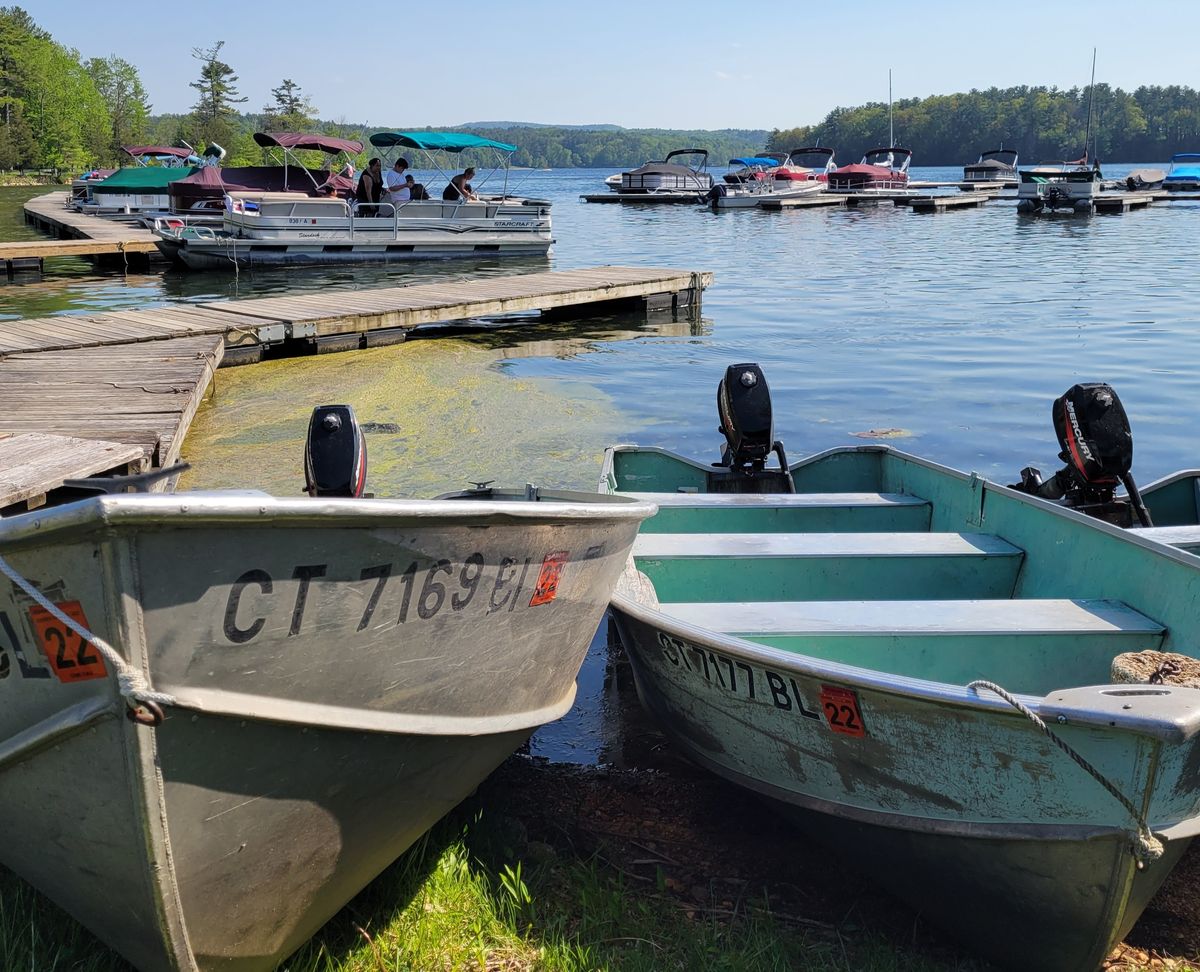 Hydrilla Menace:
State adjusts boating fees to combat invasive weeds