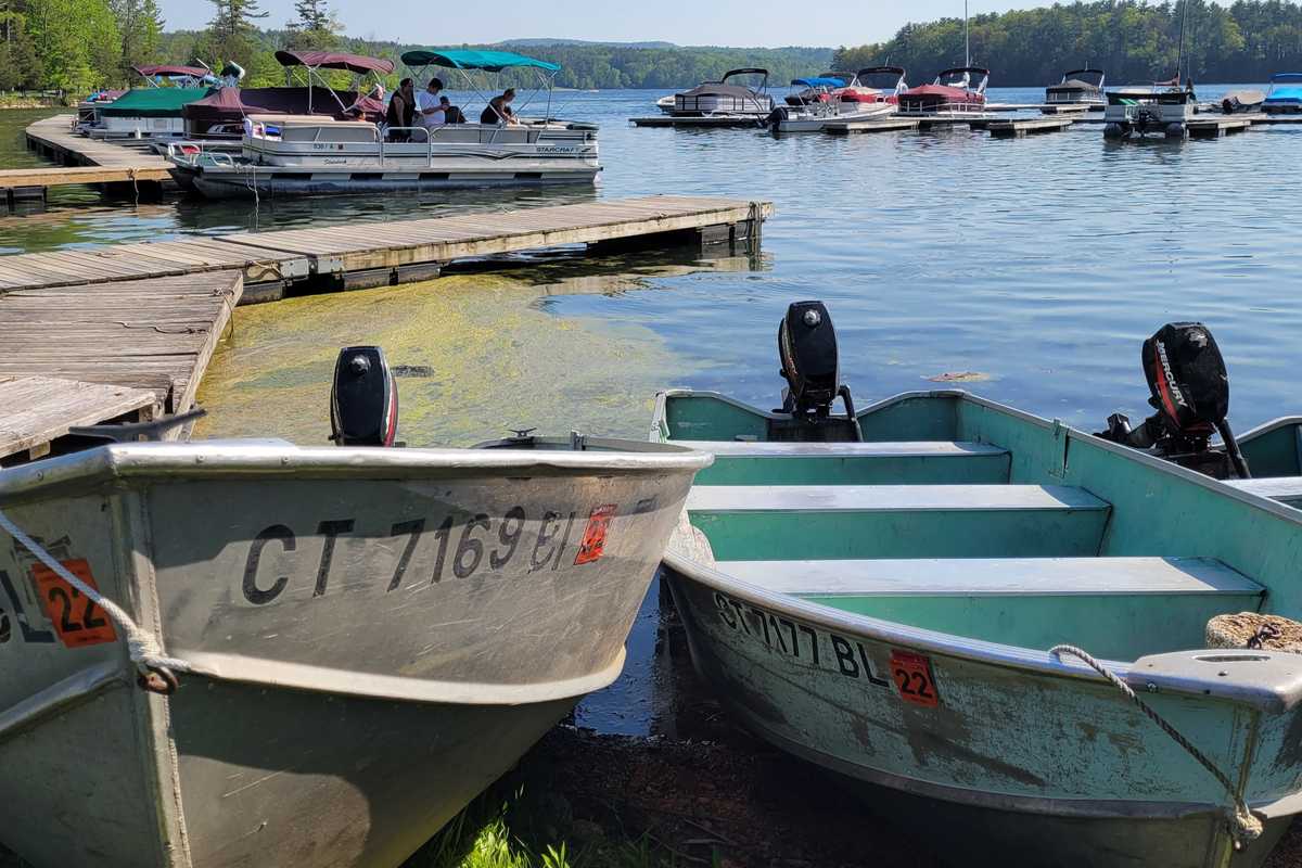 Hydrilla Menace:
State adjusts boating fees to combat invasive weeds