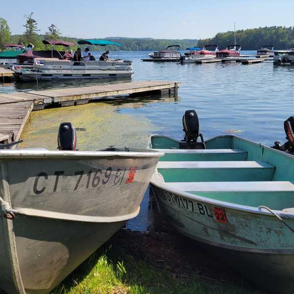 Hydrilla Menace:
State adjusts boating fees to combat invasive weeds
