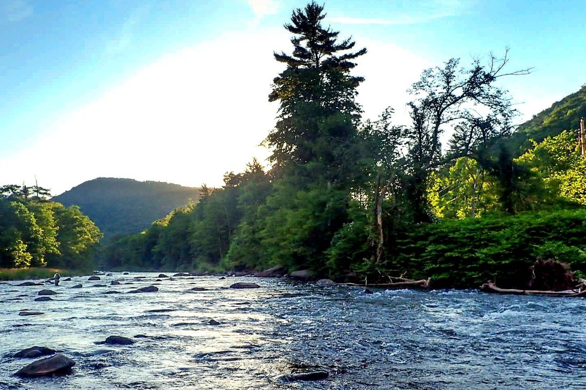 Tangled Lines looks back on 2024