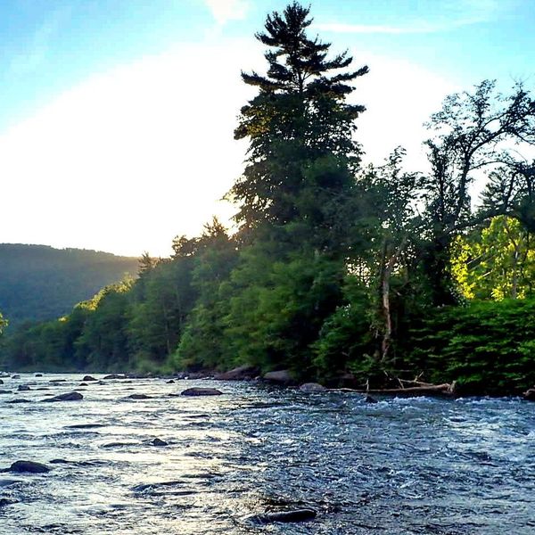 Tangled Lines looks back on 2024