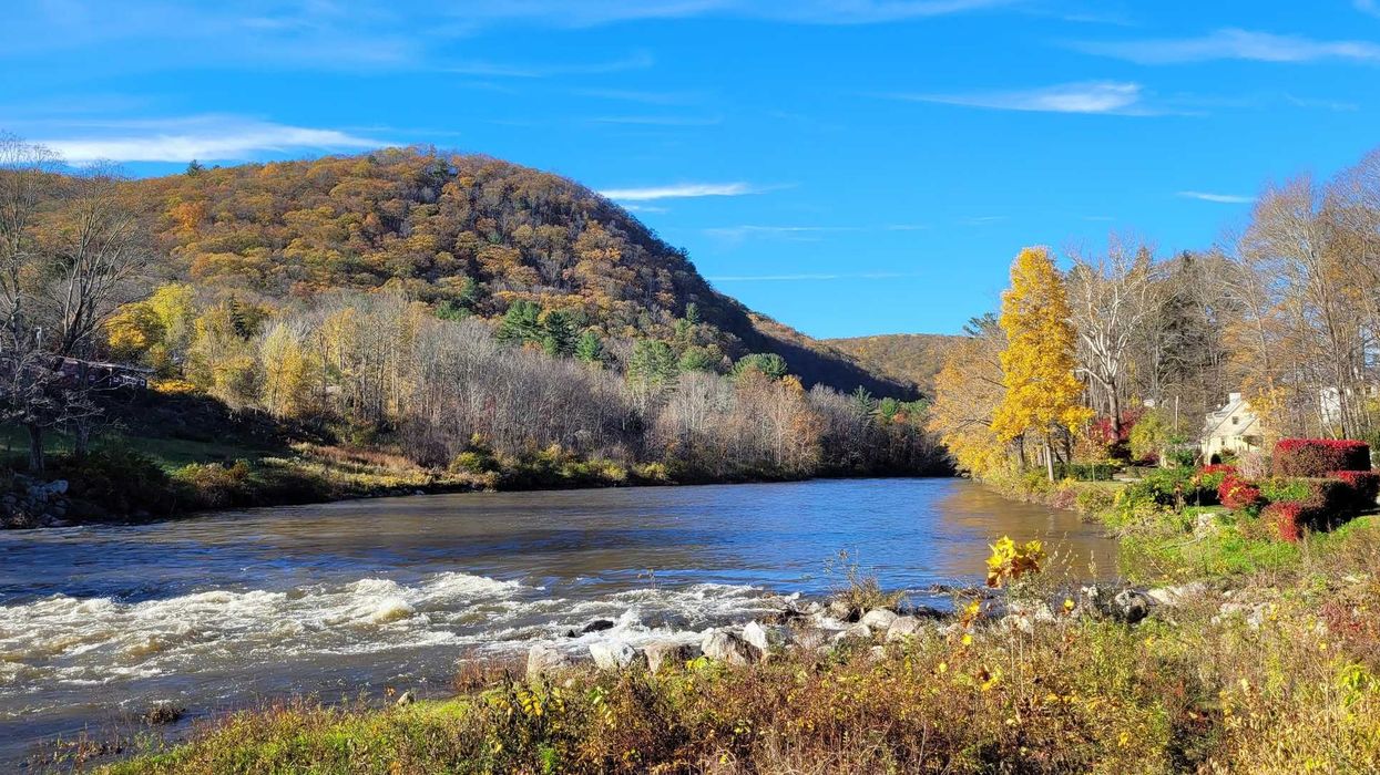 New grant boosts effort to protect wildlife corridors in the Northwest Corner