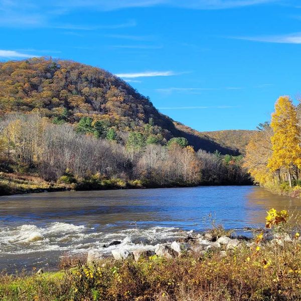 New grant boosts effort to protect wildlife corridors in the Northwest Corner