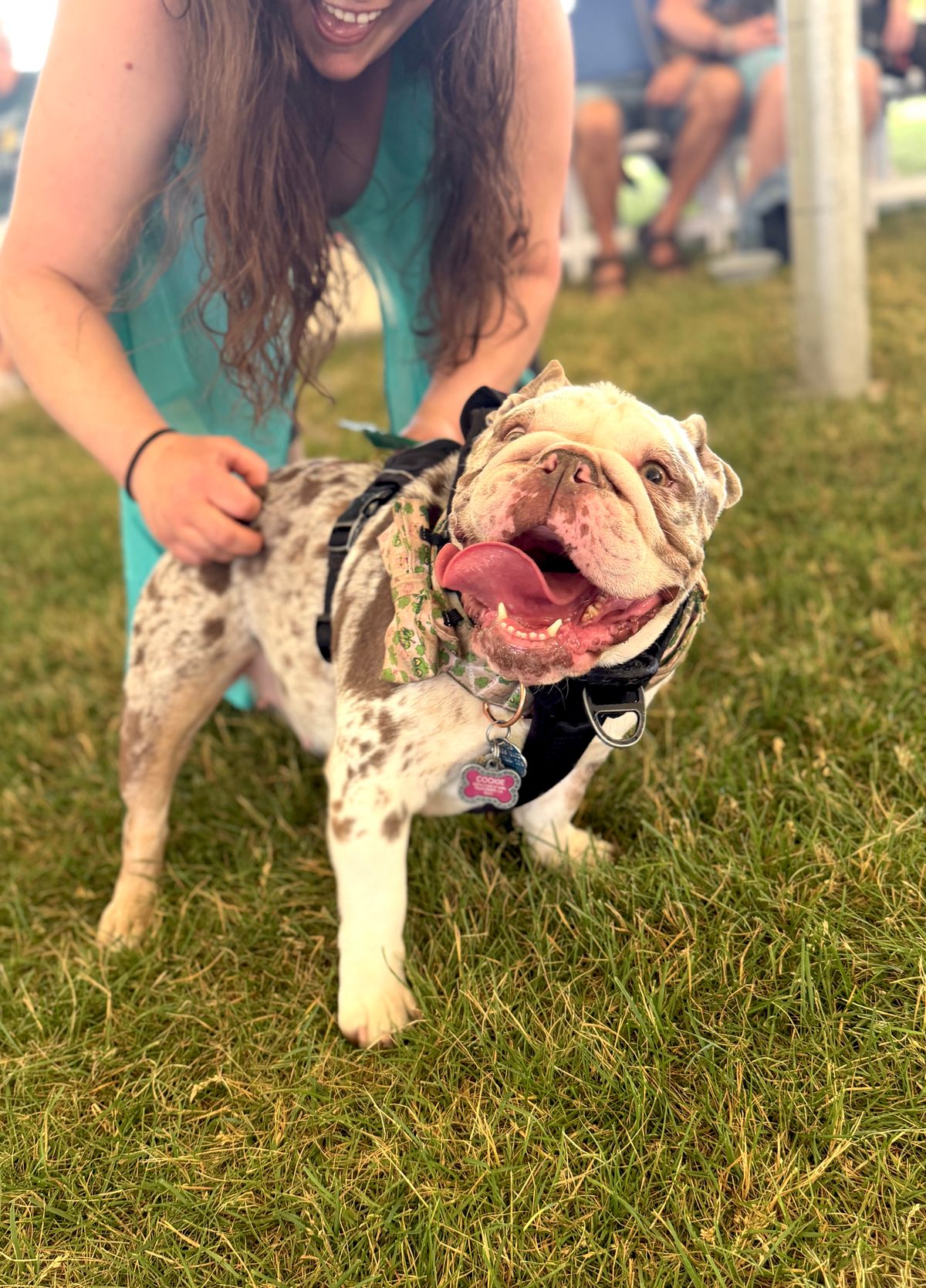 Little Guild’s Great Country Mutt Show draws record crowd