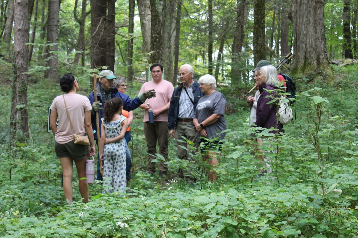 Spooky tales on Dark Hollow’s trail
