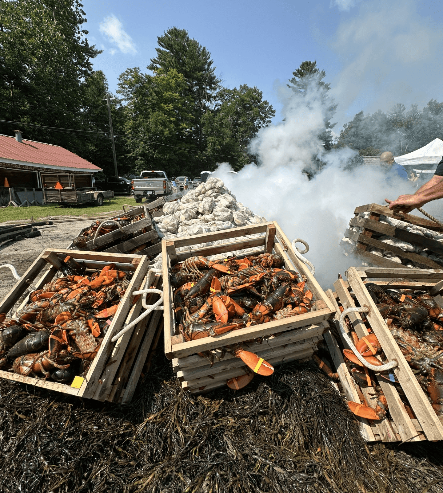 Jane Lloyd Fund Clambake returns July 25 in Salisbury, marking 19th year