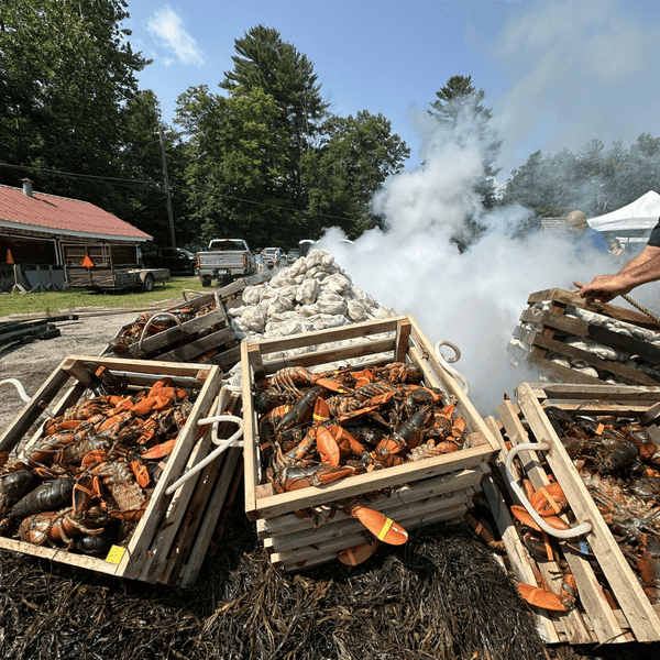 Jane Lloyd Fund Clambake returns July 25 in Salisbury, marking 19th year