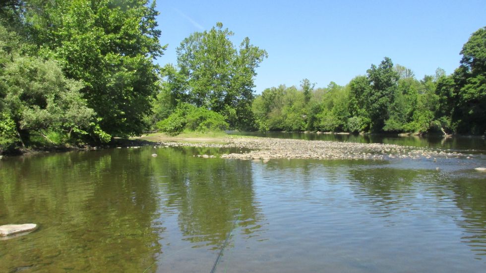 Dog days come early to anglers