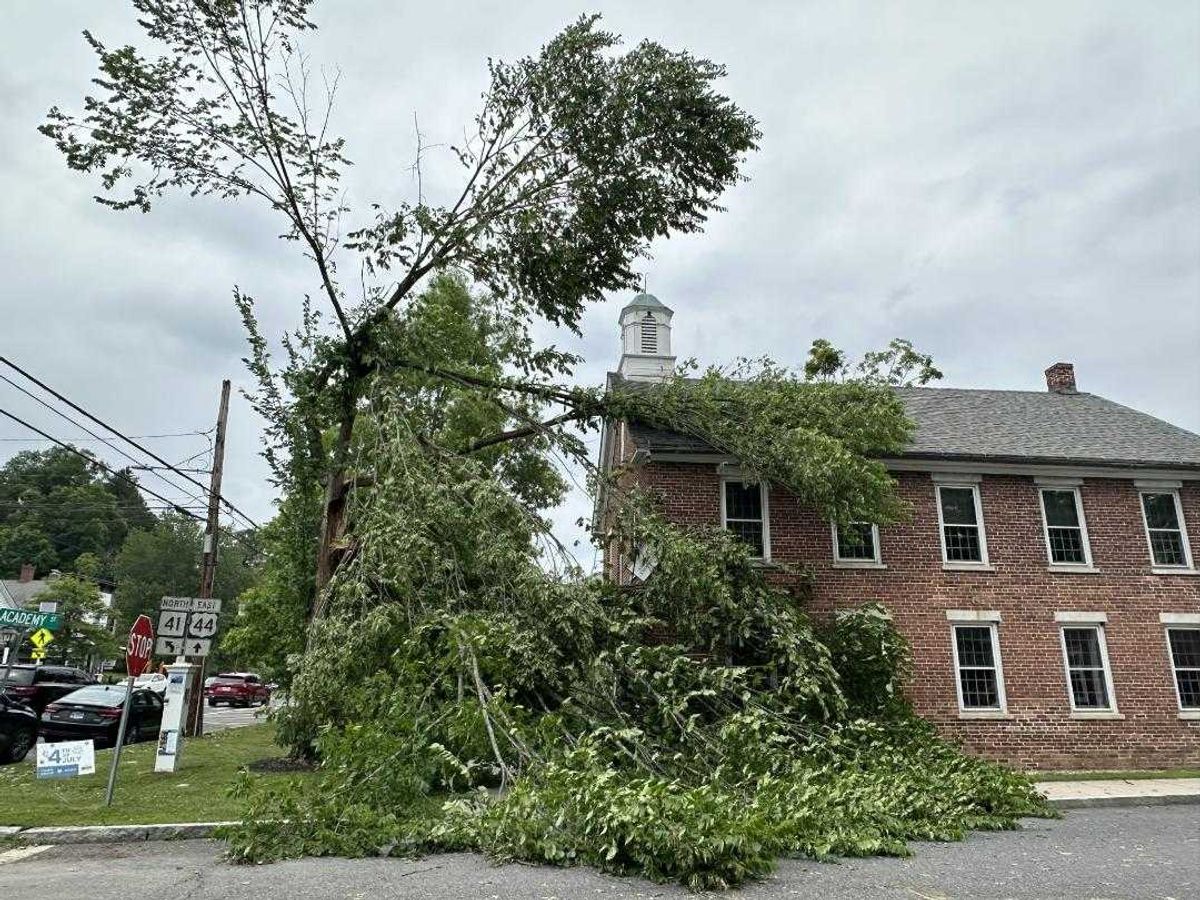 New tree planned for Salisbury’s sole 9/11 victim
