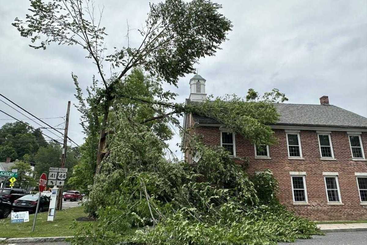 New tree planned for Salisbury’s sole 9/11 victim