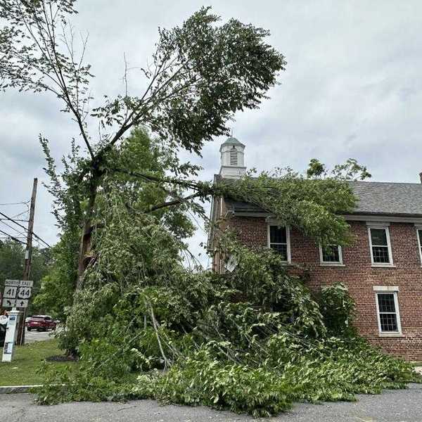New tree planned for Salisbury’s sole 9/11 victim