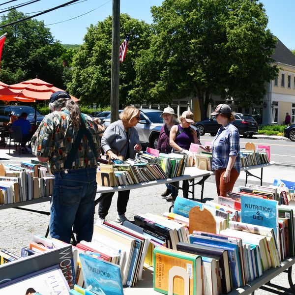 Volunteers are heart and soul of library’s massive book sale