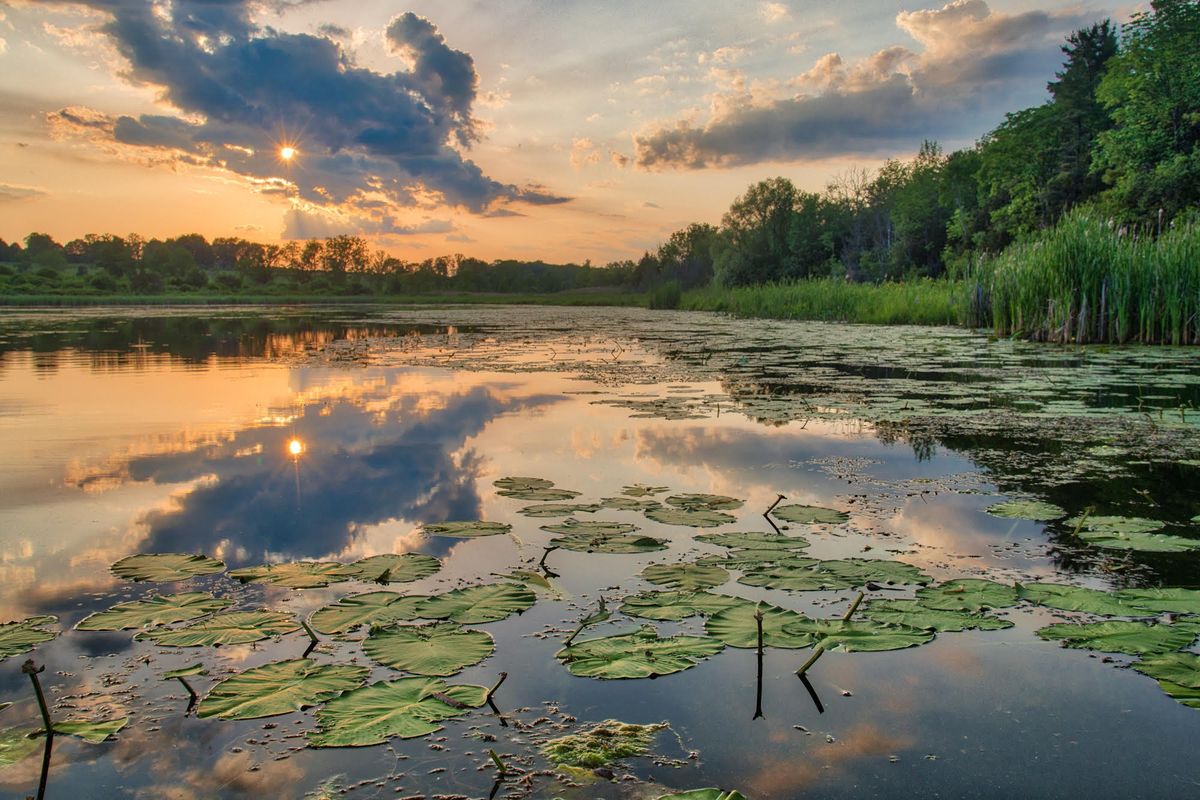 A trickle down system that works