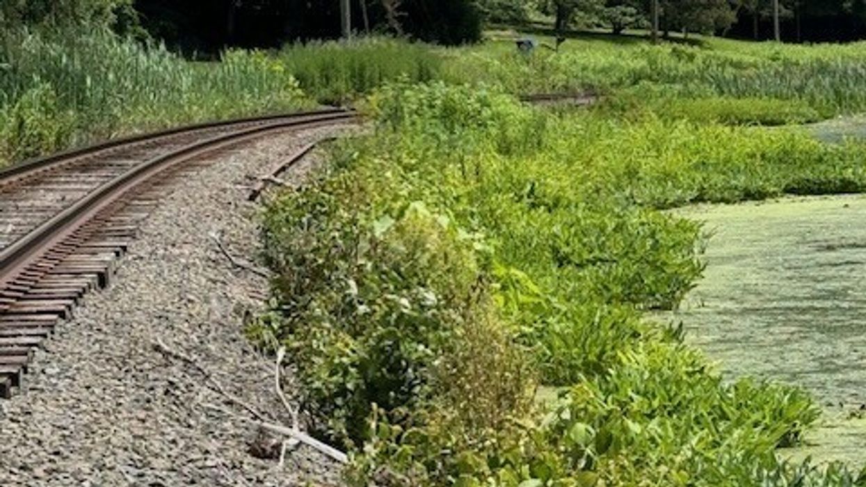 Town leaders question Housatonic Railroad’s herbicide treatment plan