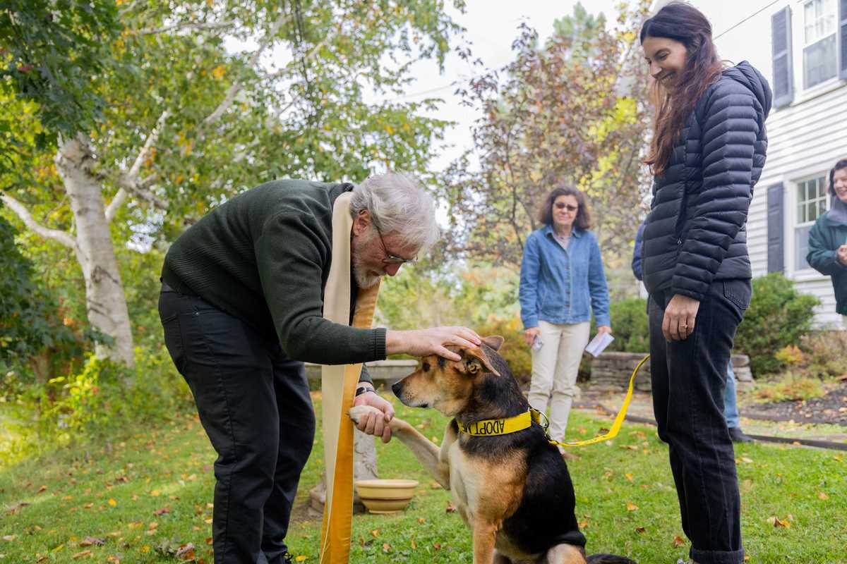 Blessings and best in show for Sharon’s dogs