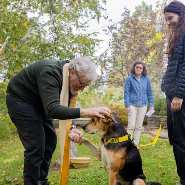 Blessings and best in show for Sharon’s dogs
