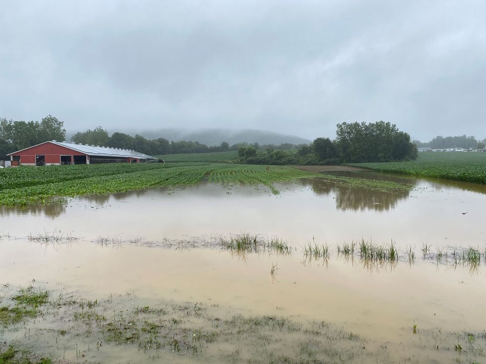 Fields flood at Freund's Farm