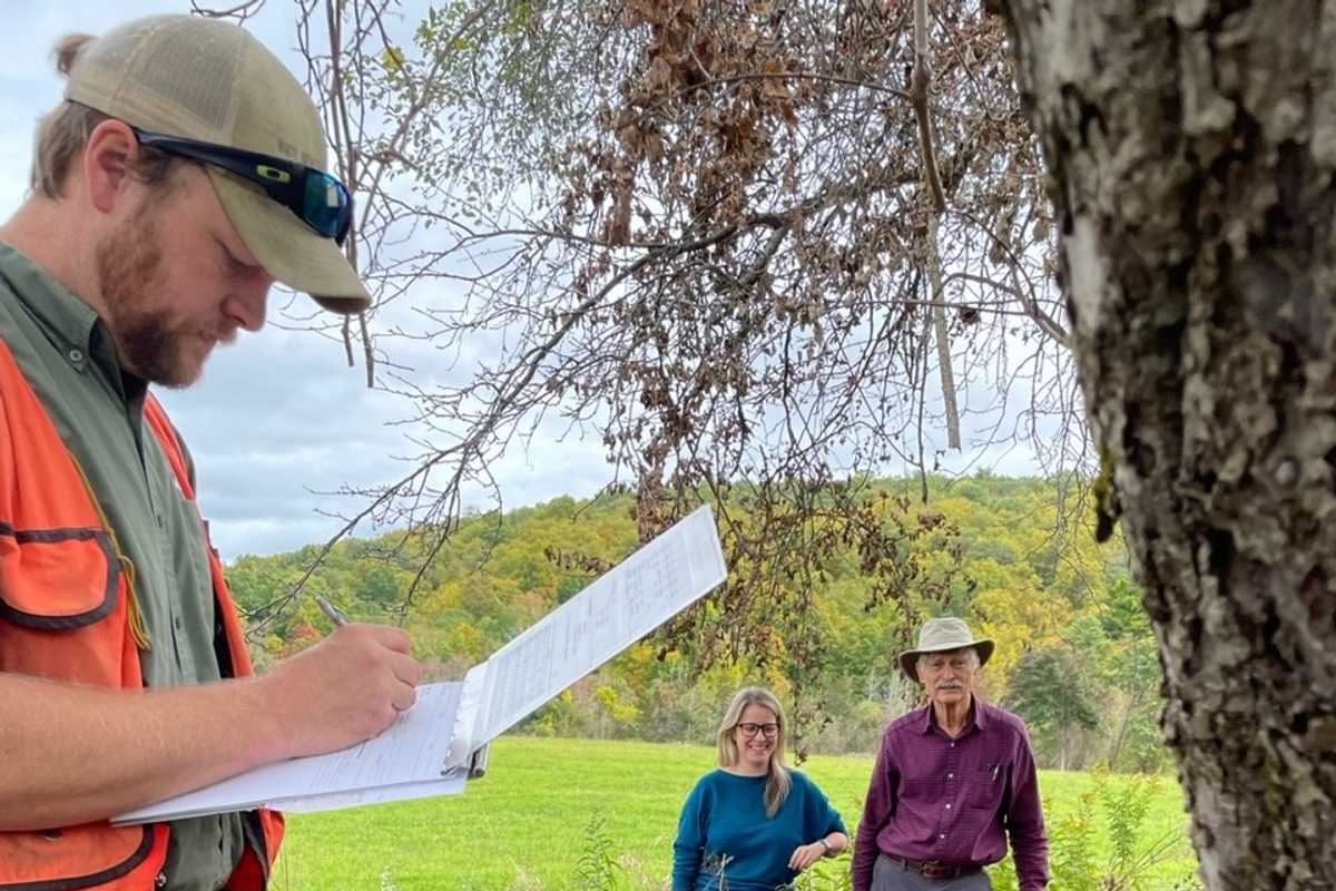 Sharon apple tree in contention for state title