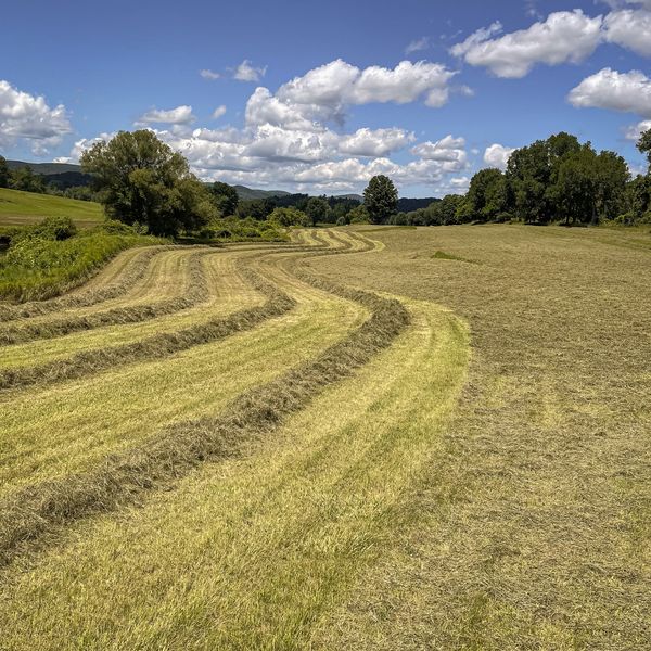 Land trust’s $800K purchase of Salmon Kill acreage aided by community