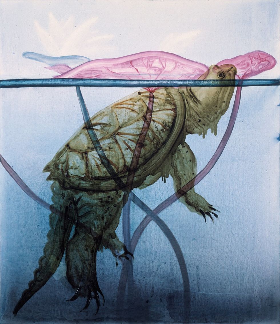 For the Love of Turtles (And Art)