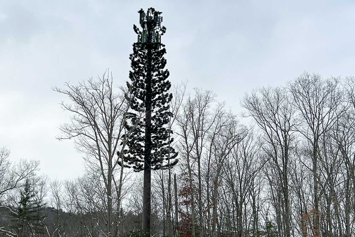 Can you hear me now?