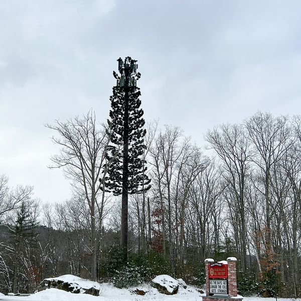 Can you hear me now?