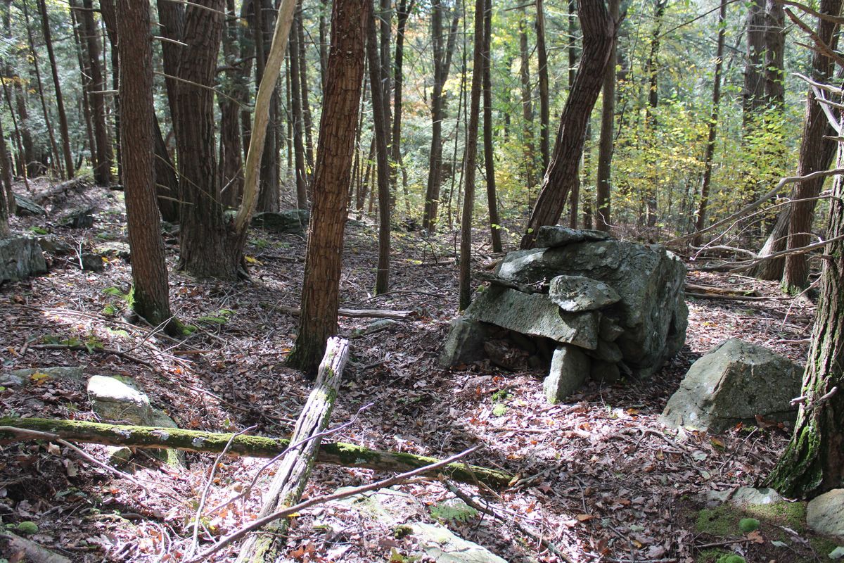 Early industrial artifacts found ‘vastly untapped’ in Emery Park