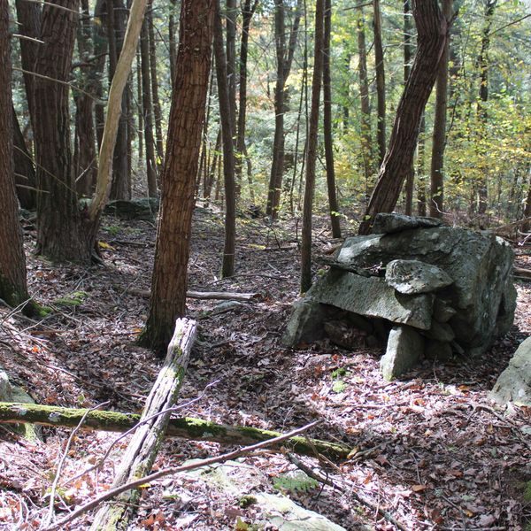Early industrial artifacts found ‘vastly untapped’ in Emery Park